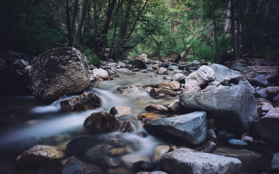 Implications of Jesus’ Relationship to the Law